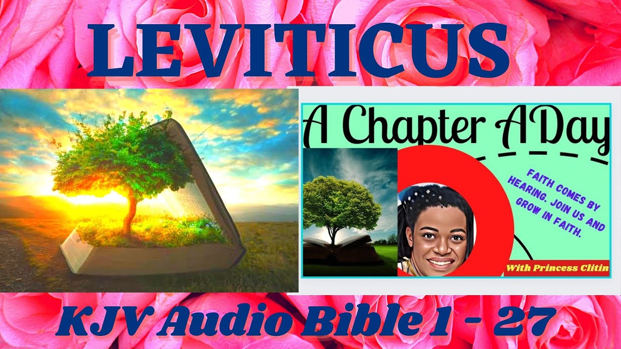 Audio Bible Leviticus // BIBLE PARTY Chapter 1 - 27 - YouTube
