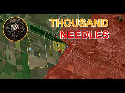 The Tactic Of A Thousand Needles. Military Summary And Analysis For 2023.06.03