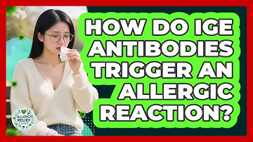 How Do IgE Antibodies Trigger An Allergic Reaction? - Allergy Relief Guide