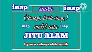 suara tarik inap walet super terapi JITU ALAM