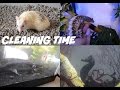 Cleaning All My Animal Habitats (UPDATED IN DESCRIPTION)