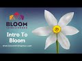Intro to bloom intelligence