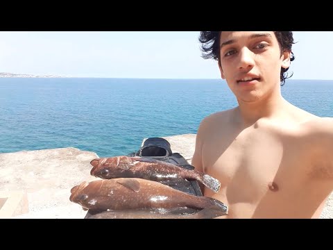 Spearfishing in Lebanon