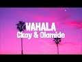 Ckay - Wahala (Lyrics) ft. Olamide