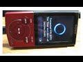 Mp3 Player Sony 2008