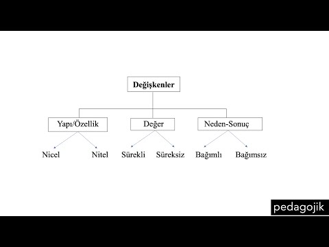 Video: Grup değişkenliği nedir?