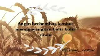 story wa lagu india,bollywood
