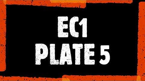 Advanced Pneumatic Circuit: Cascade Method (3 Groups)