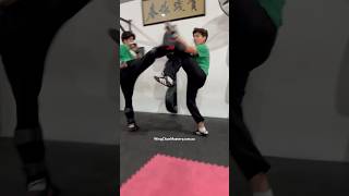 Real Wing Chun Applications #shorts #selfdefense #martialarts #mma #kickboxing #training