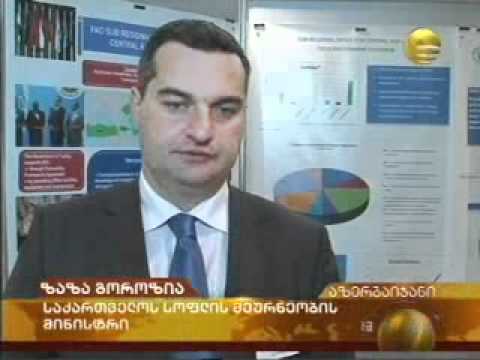 გოროზიას ვიზიტი ბაქოში