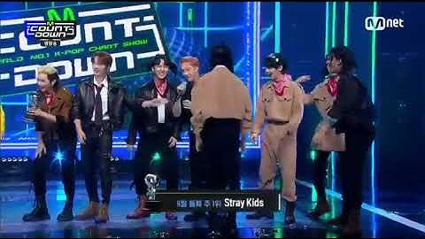 Stray kids 