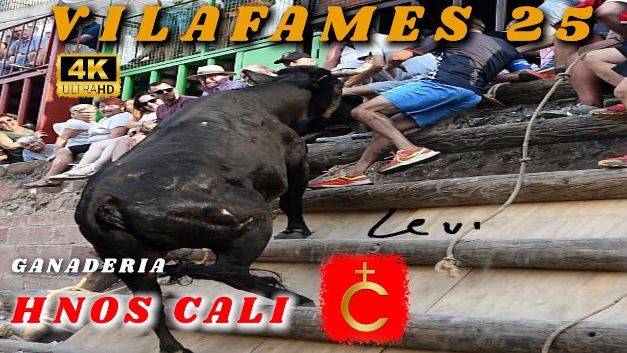 🔝🔝🔝SENSACIONAL TARDE EN VILAFAMES-HNOS CALI