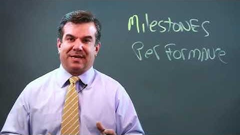 Key Audit Milestones in Performing a Performance Audit