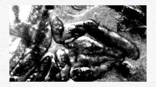 Lego Big Morl Waitfrom Unveil The 12 Pieces Of Thenew Worldvideo Works