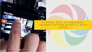 Tutorial Sony A7II Indonesia : Picture Effect di Mode MOVIE Sony A7II