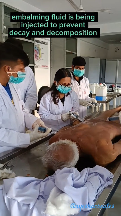 Cadaveric dissection ( embalming procedure) #anatomy
