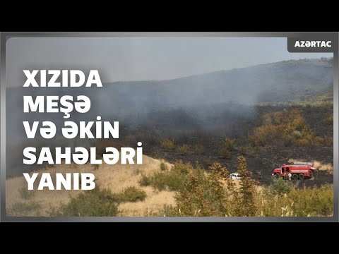 Xızıda meşə və əkin sahələrində yanğın baş verib