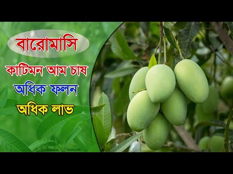 ভিডিও: ওক চারা (20 টি ছবি): কীভাবে বসন্ত এবং গ্রীষ্মে সাইটে সঠিকভাবে রোপণ করবেন? কিভাবে দ্রুত বৃদ্ধি এবং কি খাওয়াতে? কিভাবে যত্ন নেবেন?