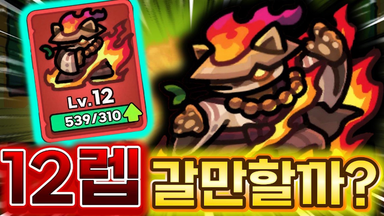 불멸 마스터쿤 12렙 실전 리뷰!! 사야할지 말아야할지 확실히 알려드립니다 [운빨존많겜]