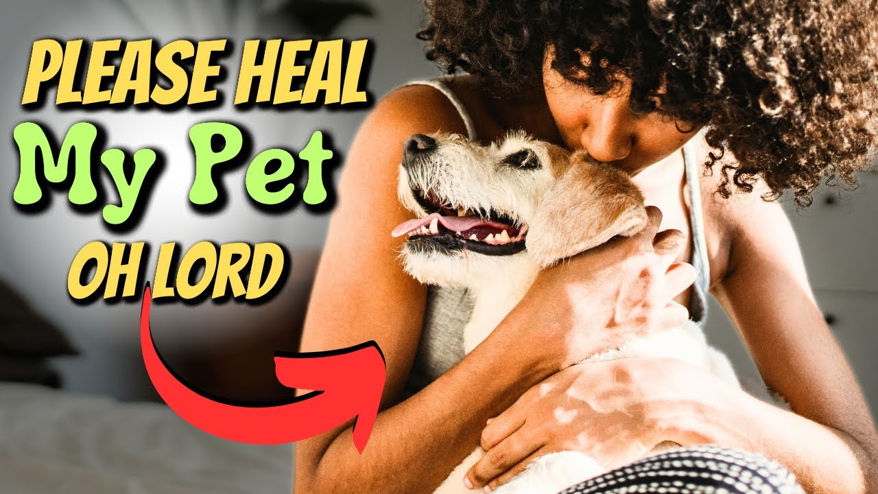 Miracle Prayer For Your Sick Pet Healing Prayer For Animals YouTube miracle-prayer-for-your-sick-pet-healing-prayer-for-animals-youtube