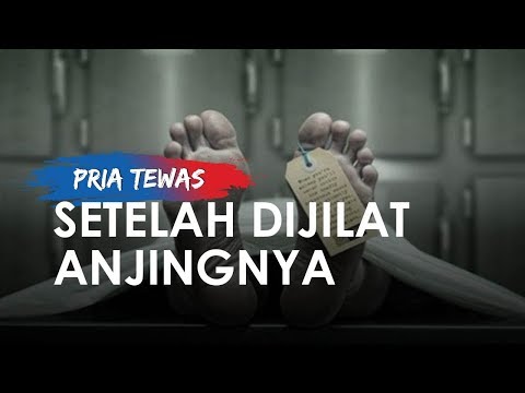 Hoax Or Fact Penusukan Suporter Saat Pertandingan Sepak Bola