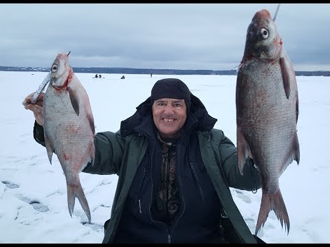 Рыбалка на Рузском водохранилище.