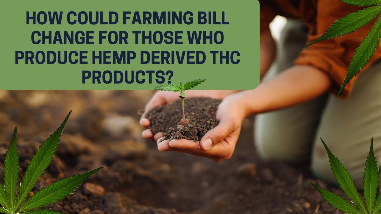 The future of hemp producers after Farm Bill