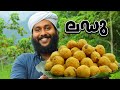 സ്വാദൂറും കിടിലൻ ലഡ്ഡു ഉണ്ടാക്കിയാലോ?😋 | Bakery Style Laddu Recipe🔥🤤