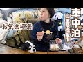 【ソロ活のすすめ】推し活・焼肉・温泉。笑って食べて癒される50代看護師と犬1匹、三重県松阪市へ車中泊の旅。