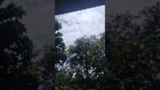 Kolecer Termantep Ngicik Ngajerit