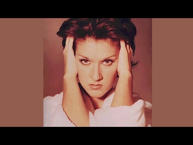 セリーヌ・ディオン☆リミックスCD MisledミスリードVer違いの6曲