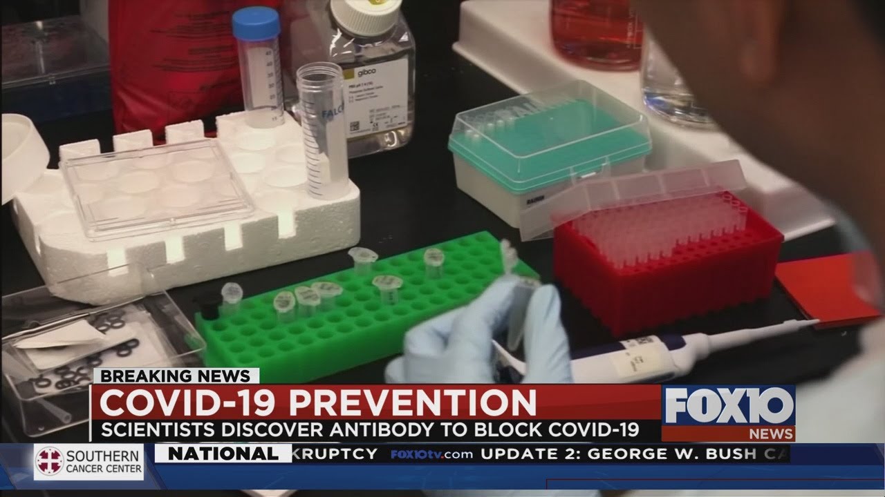 Scientists discover antibody to block COVID-19