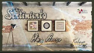 Video thumbnail of "Duo Sentimiento / Hay amor"