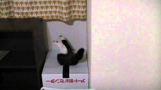 まるホイホイ。-Maru Motel.-