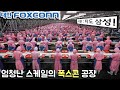 '타도 삼성'을 목표로 하는 대만판 삼성전자 폭스콘(Foxconn)의 야망