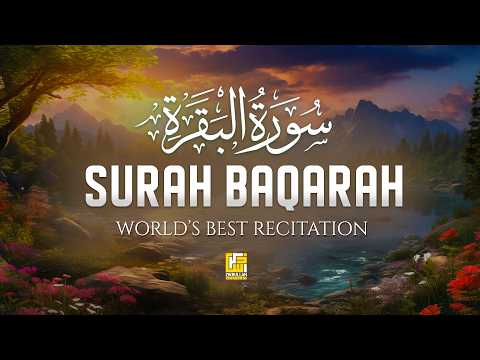 Surah Al Baqarah Full (سورة البقره) HEART TOUCHING RECITATION | Zikrullah Reciters