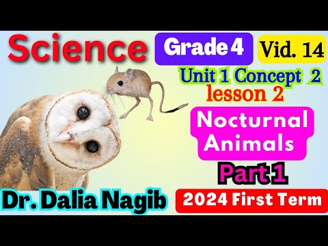 ساينس رابعه ابتدائي ترم اول Science Grade 4 Nocturnal Animals Concept 2 Lesson 2 Part 1 ساينس رابعه ابتدائي ترم اول Science Grade 4 Nocturnal Animals Concept 2 Lesson 2 Part 1
