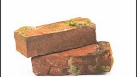 Duplication in Network Marketing by Jay Veal