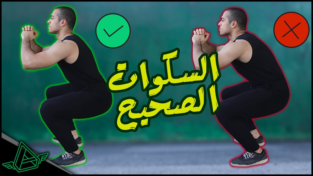 تمرين السكوات بدون ألم: الطريقة الصحيحة لتمرين السكوات + العضلات المستهدفة في تمرين السكوات |أفلاطون