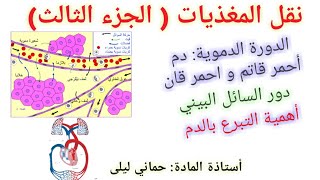 التغذية 8: نقل المغذيات:الدورة الدموية-دور اللمف البيني-أهمية التبرع بالدم ...