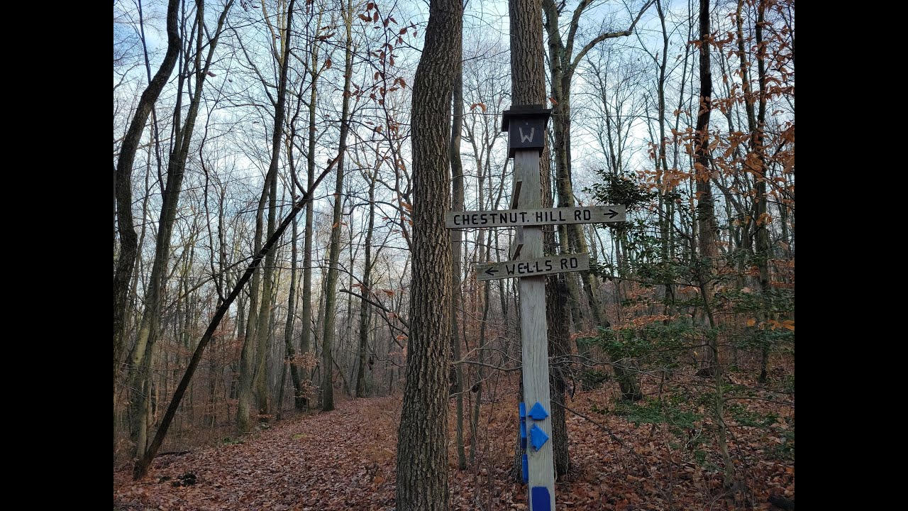 Coventry Woods Furnace Trail YouTube