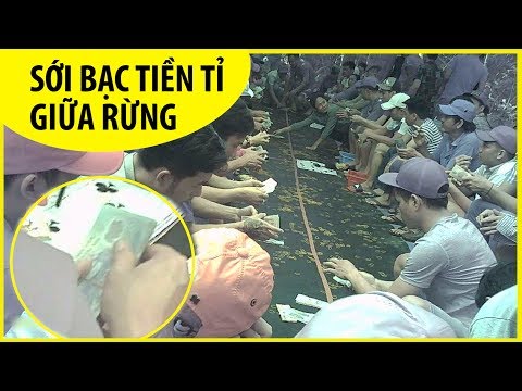 ĐIỀU TRA | Đại sới bạc giữa rừng - Kỳ 1: Lộ diện thế lực “khủng“