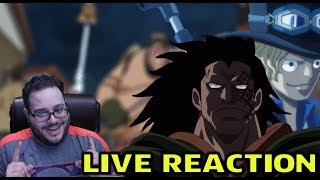 FOUR CAPTAINS OF THE REVOLUTIONARY ARMY! WAR PLAN! - ONE PIECE EPISODE 880 LIVE REACTION