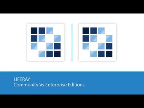 LIFERAY Enterprise Portal Software - A Hot Topic of Discussions Today