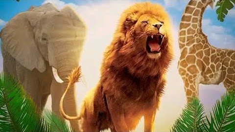 wonder animal zoo keeper Games for android - GAMEPLAY