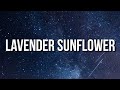 Tory lanez  lavender sunflower lyrics