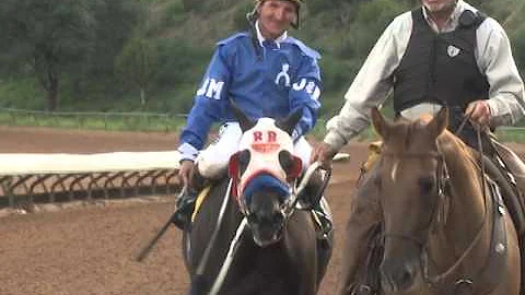 AAF 104   Jm Miracle