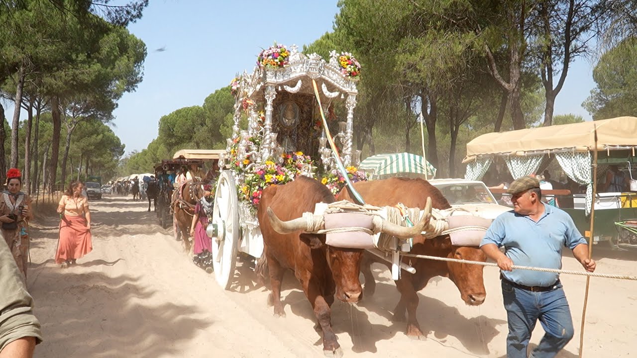 ROCÍO 2025 - SEXTO DÍA (10-06-25)