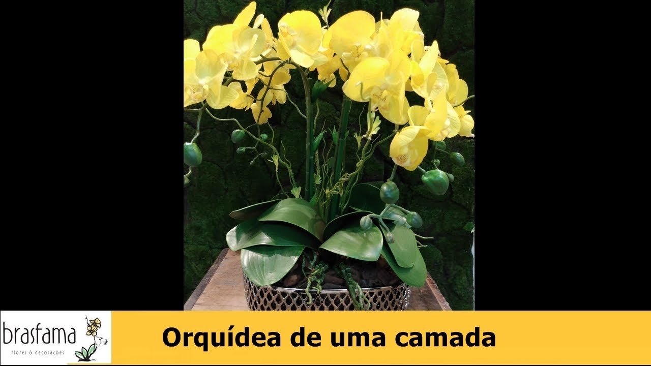 Arranjo Orquídeas Uma Camada