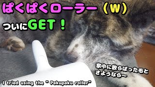 【秋田犬】ぱくぱくローラーW購入！部屋中の抜け毛とさよならできるか・・・！？【akita】【大型犬】